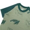 Kaos Anak Turtle Raglan by Kidsmate - Gambar 4