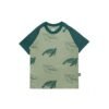 Kaos Anak Turtle Raglan by Kidsmate - Gambar 3